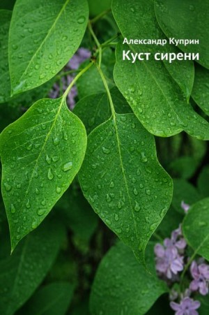 Александр Куприн - Куст сирени