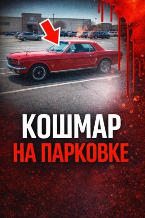  - 34 года поиска