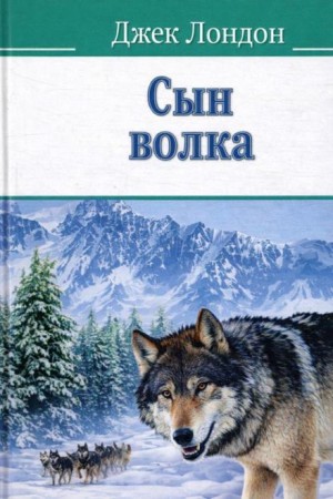 Джек Лондон - Сын волка