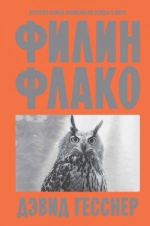 Дэвид Гесснер - Филин Флако. История самой знаменитой птицы в мире