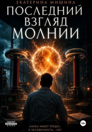 Екатерина Мишина - Последний взгляд молнии