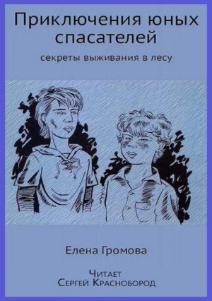 Елена Громова - Приключения юных спасателей