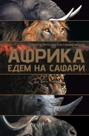 Стеллиферовская Наталья - Африка. Едем на сафари