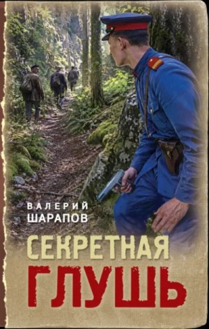 Валерий Шарапов - Секретная глушь