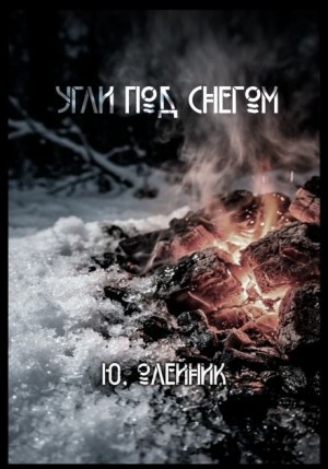 Юлия Олейник - Угли под снегом