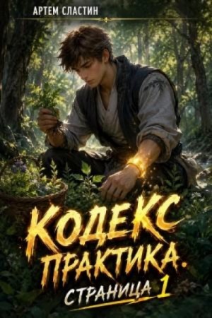 Артём Сластин - Кодекс Практика. Страница 1