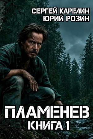 Сергей Карелин, Юрий Розин - Пламенев. Книга 1