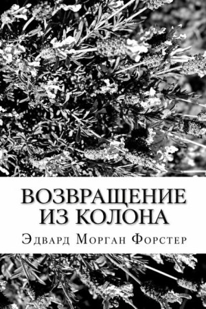 Эдвард Морган Форстер - Возвращение из Колона