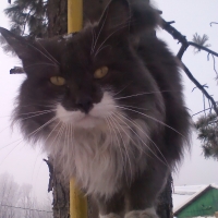 Игорь