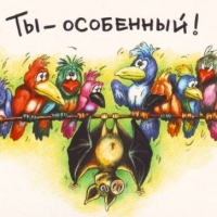 Элиза